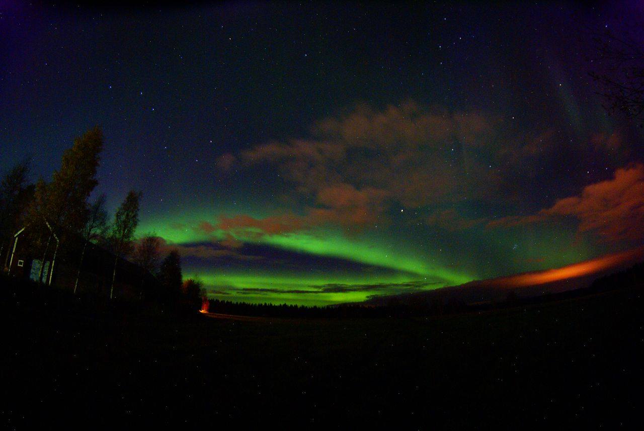 Aurora